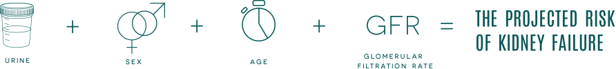 CKD Equation