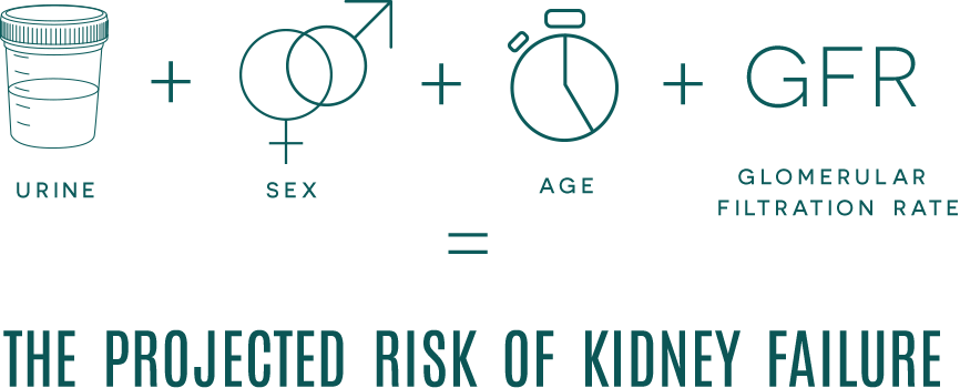 CKD Equation